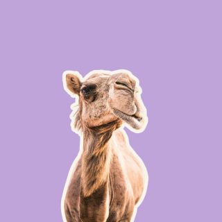 The Last Step in Terry’s Transplant Journey