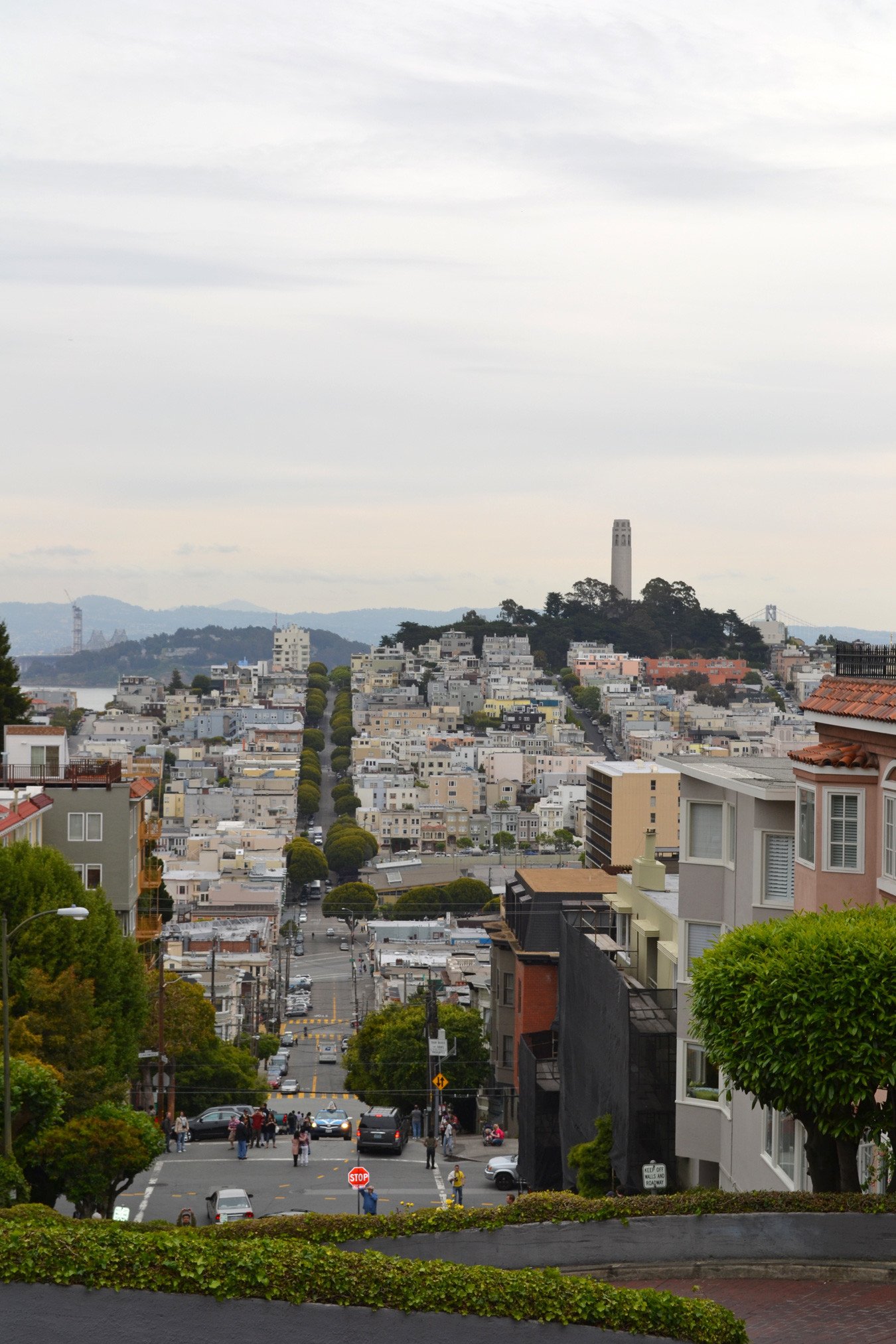 View of San Francisco from teh top of Lombard street