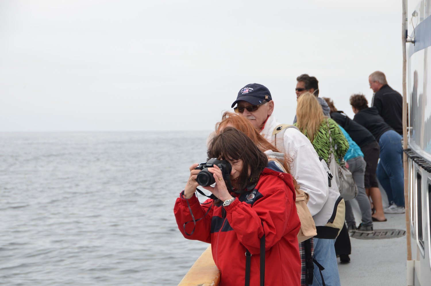 whale watching trip at Dana Point, California