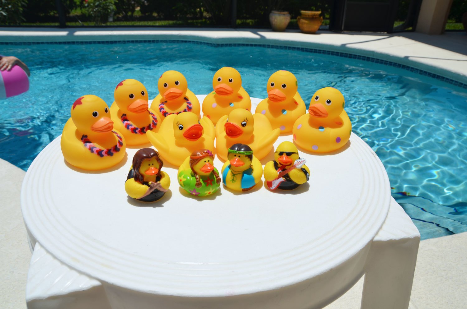 rubber duck collection