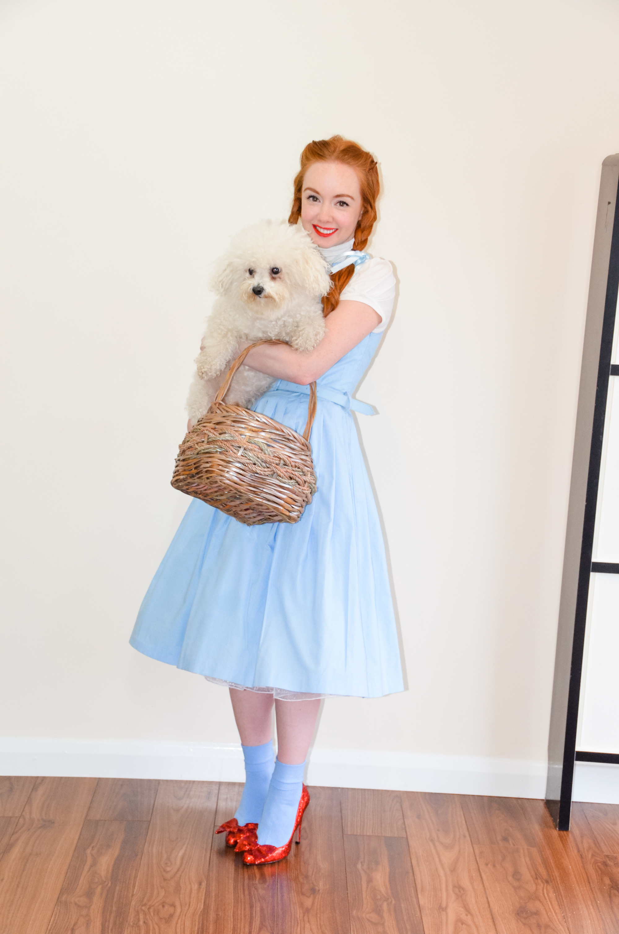 Dorothy Wizard of Oz fancy dress