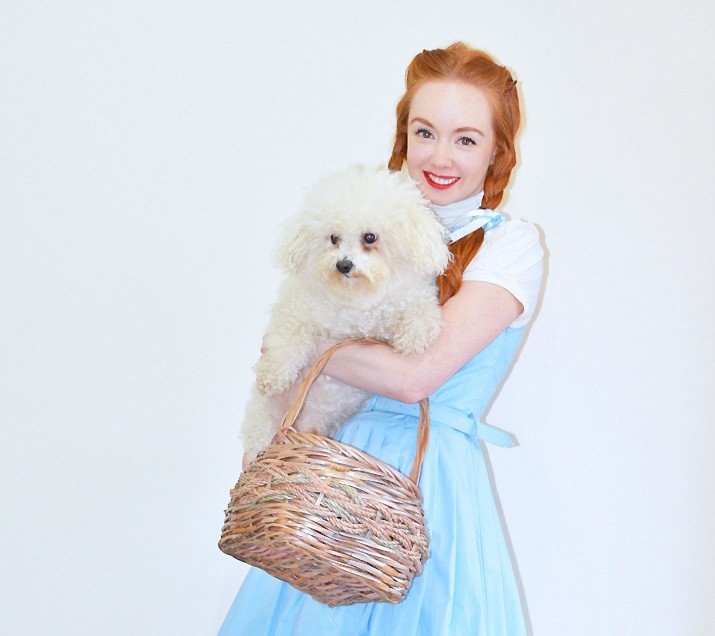 Dorothy fancy dress