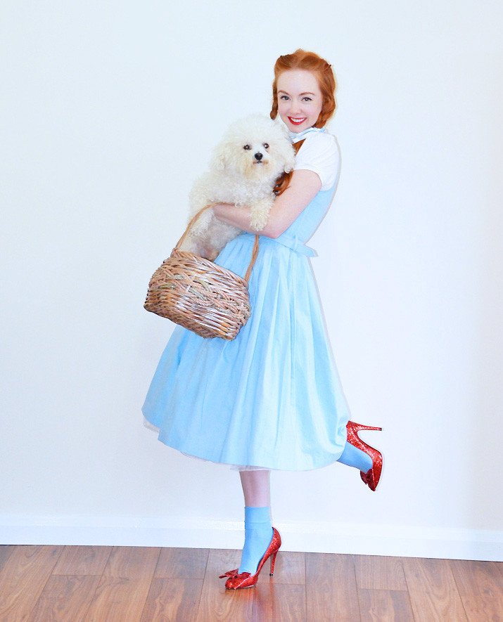 Dorthy from the Wizard of Oz Halloween Costume