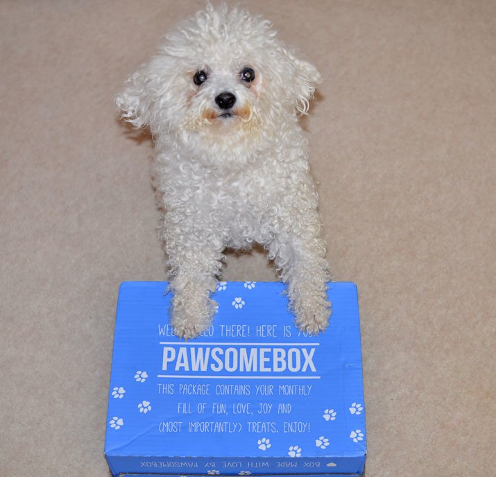 Pawsome box