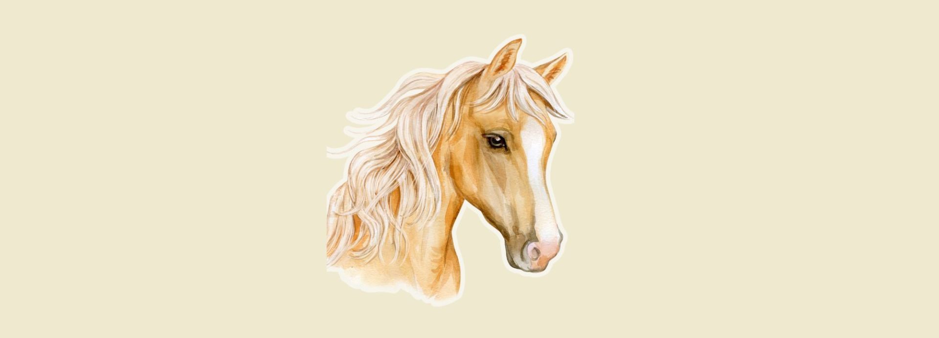 The Observer’s Book of Horses, Revisited