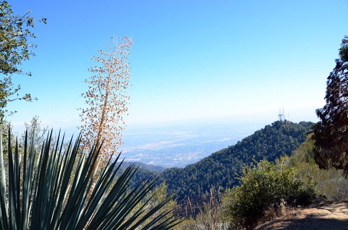 View from the top of Mount Wilson, California