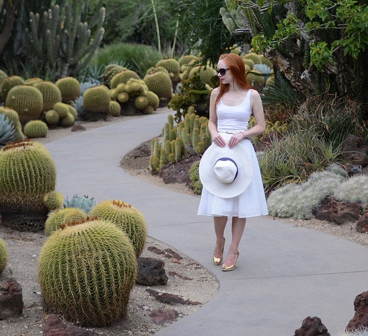 cactus garden at the Huntington, Los Angeles