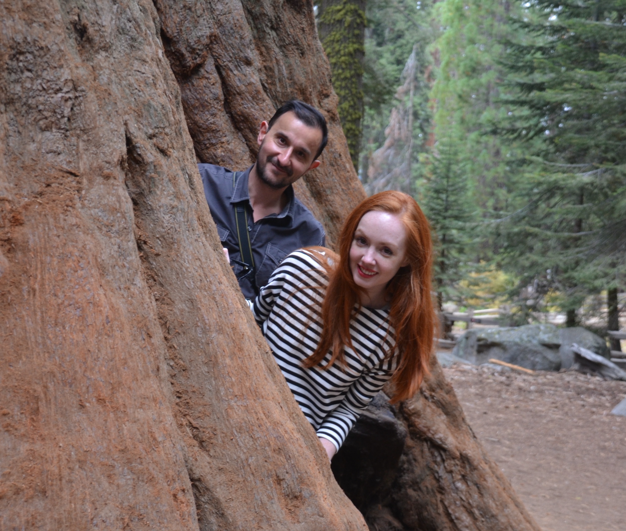 Visiting Sequoia National Park, California