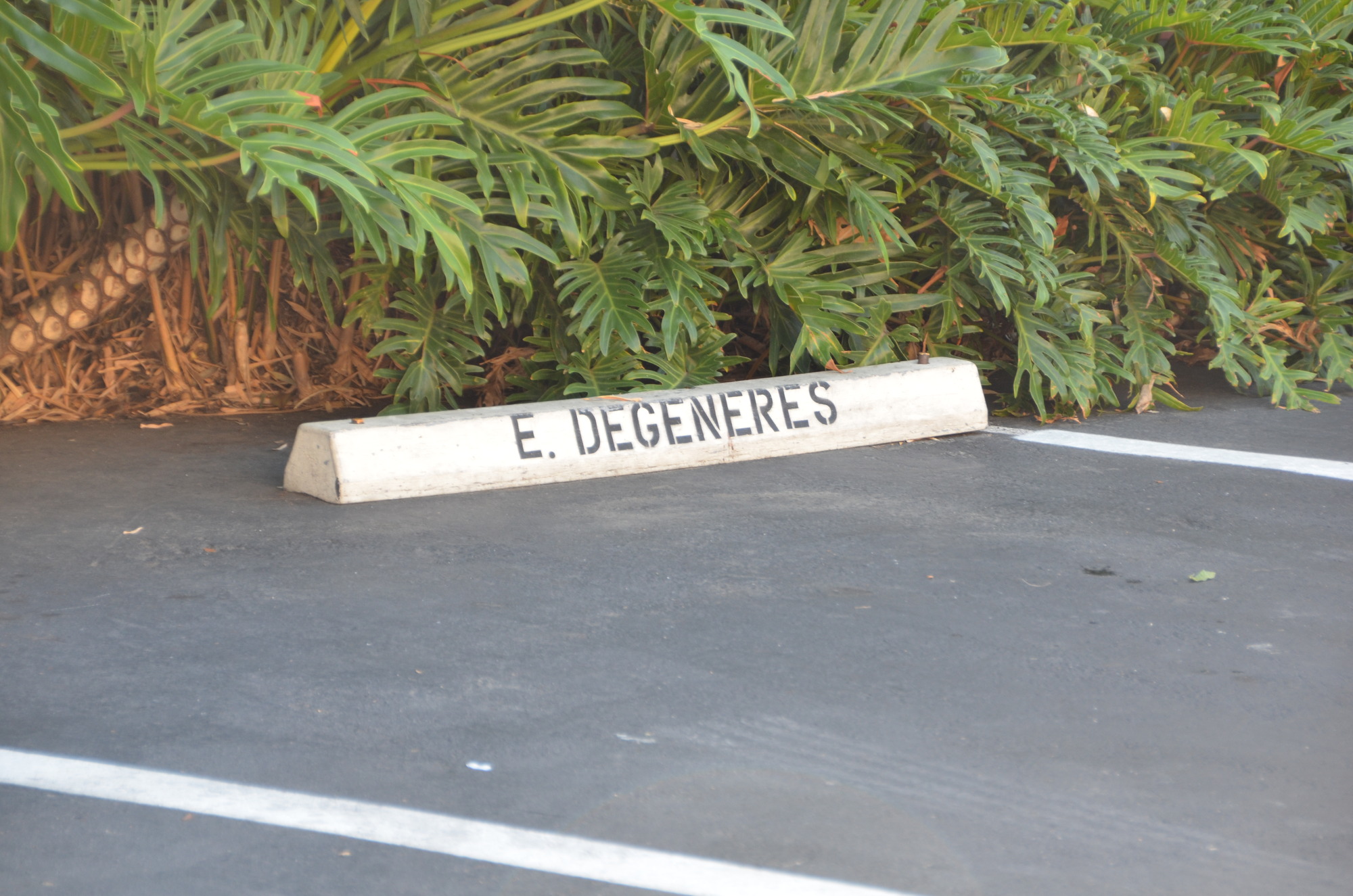Ellen's parking spot