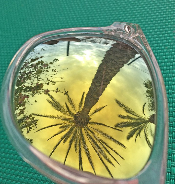 palm tree reflected in sunglasses