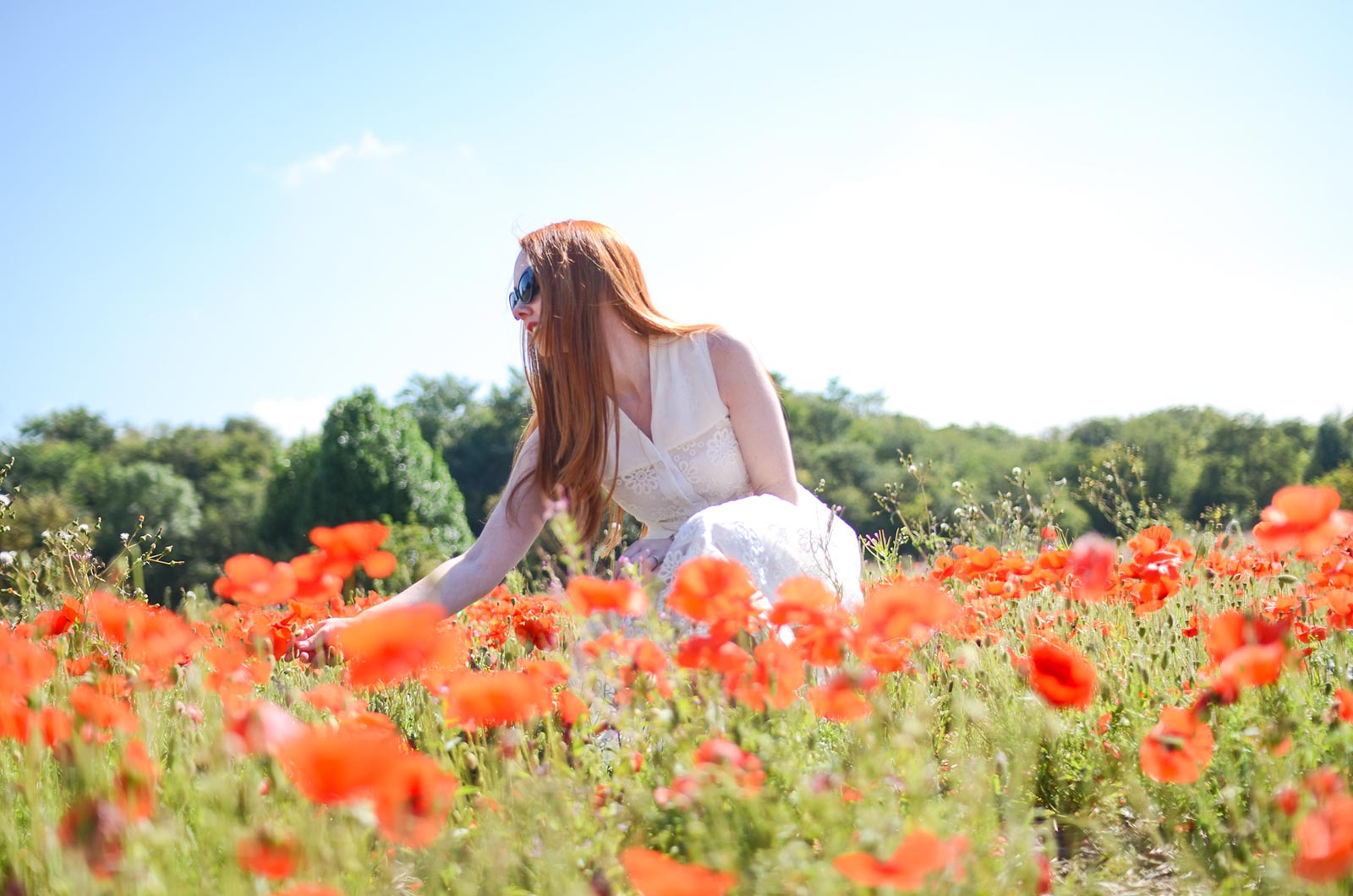 Amber in a field of poppies