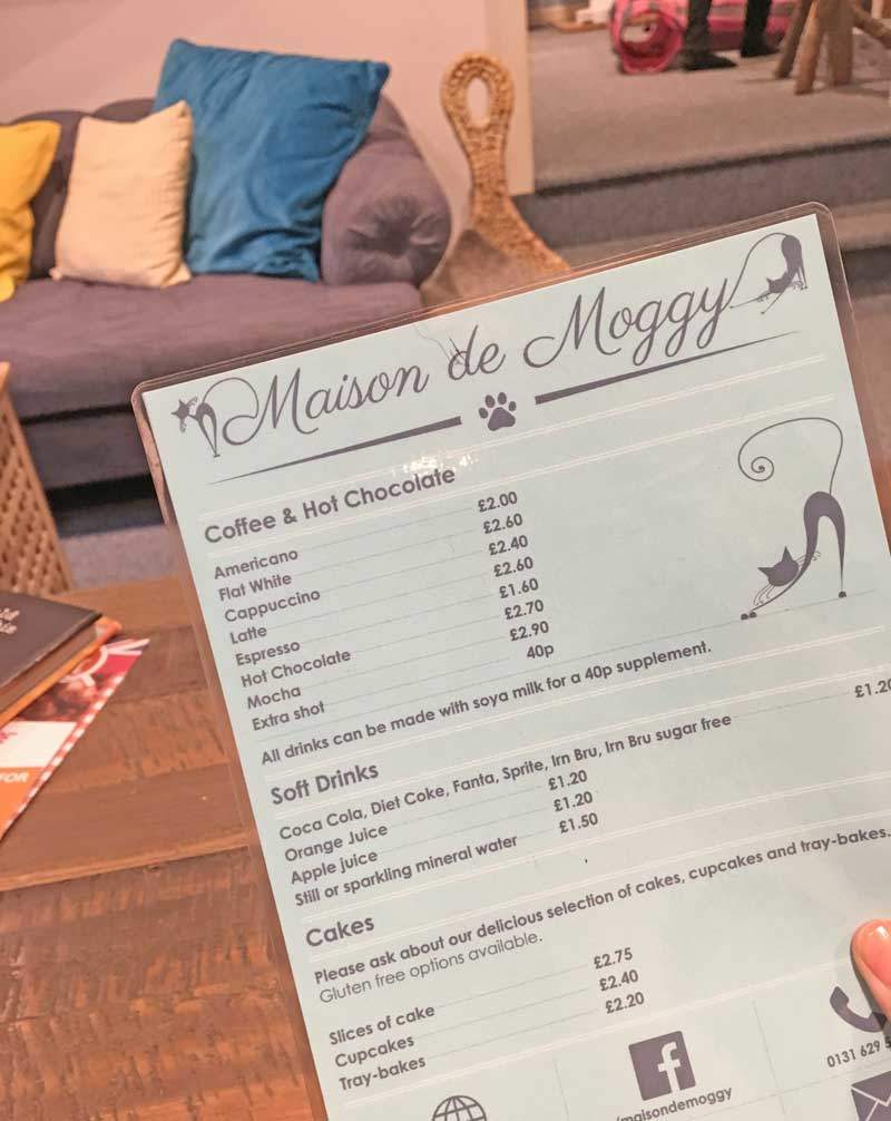 menu at the cat cafe, Edinburgh
