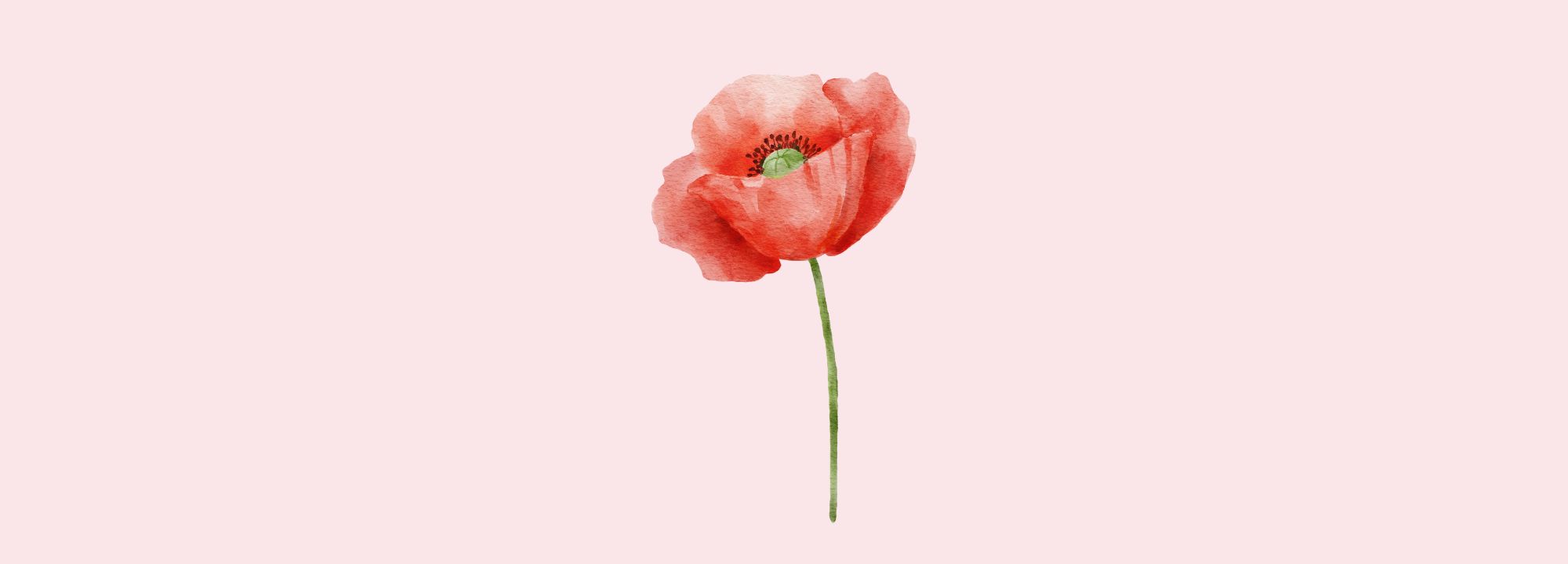 my ectopic pregnancy story