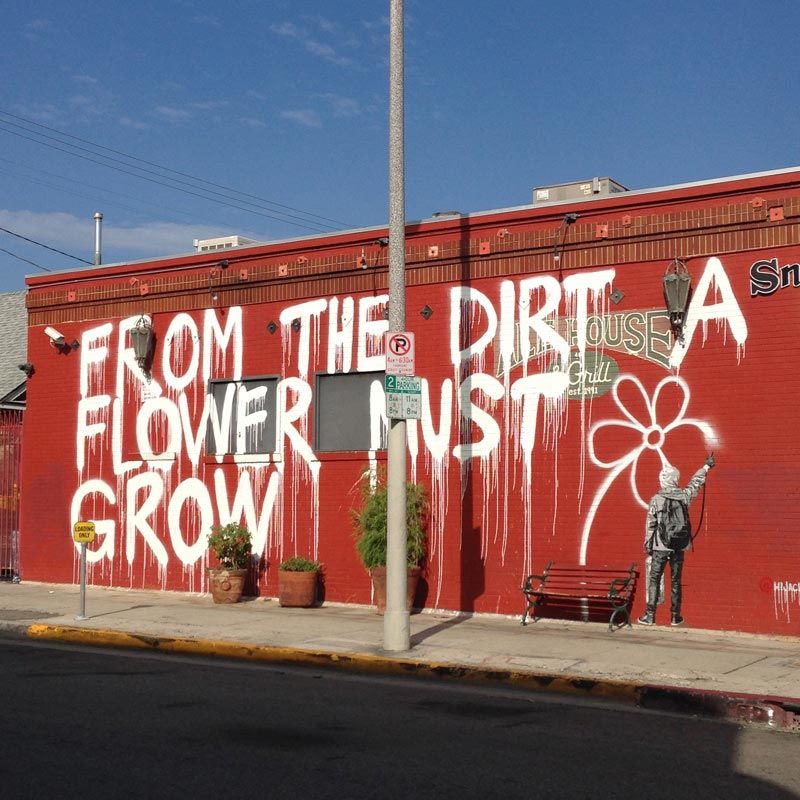 from the dirt a flower must grow