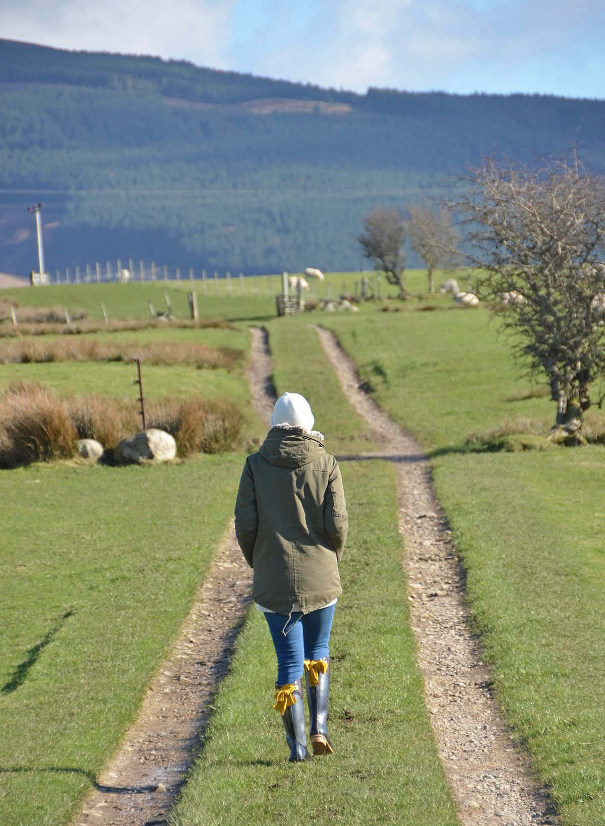 walking to the stone circles on Machrie Moor, Arran