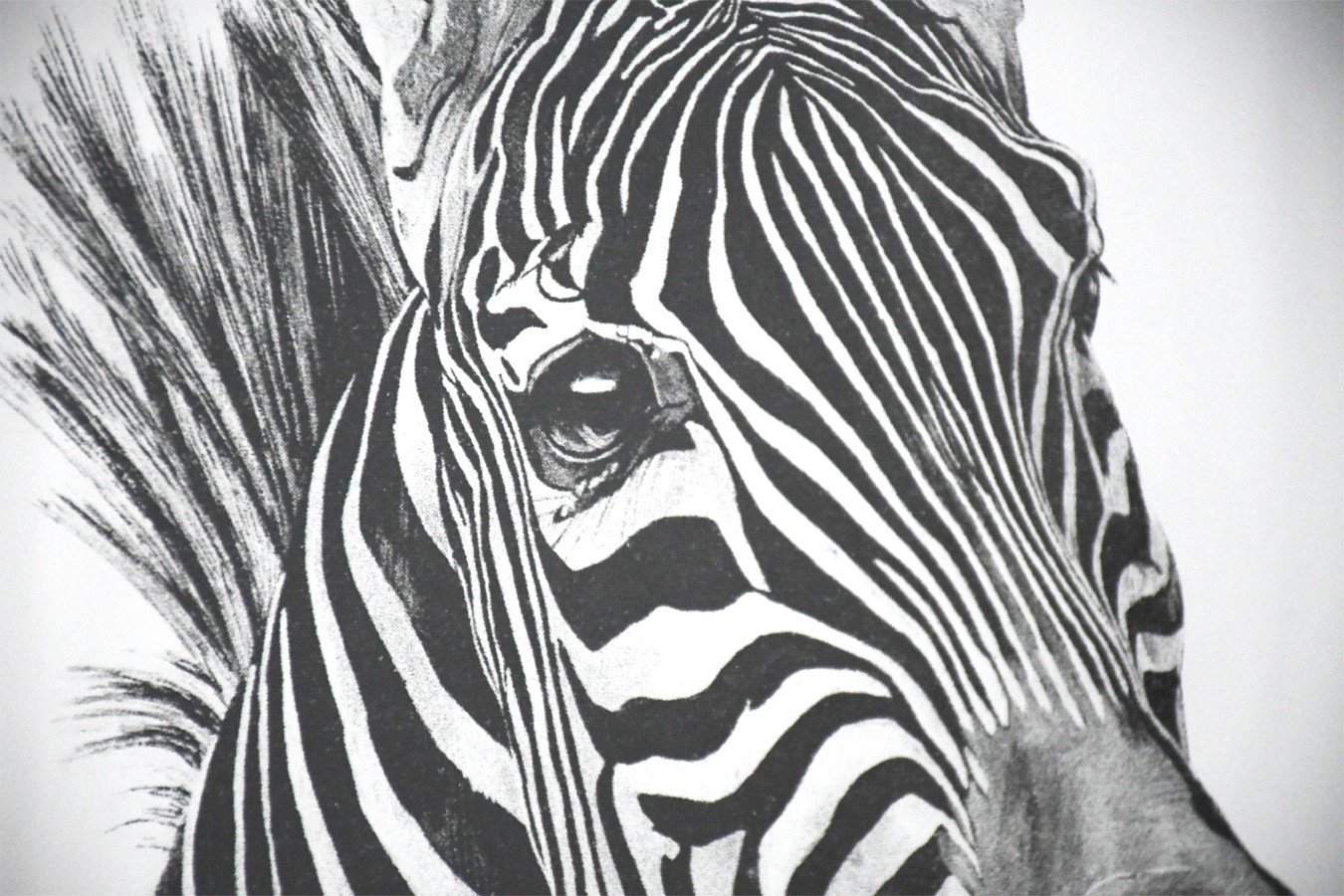 black and white Zebra print