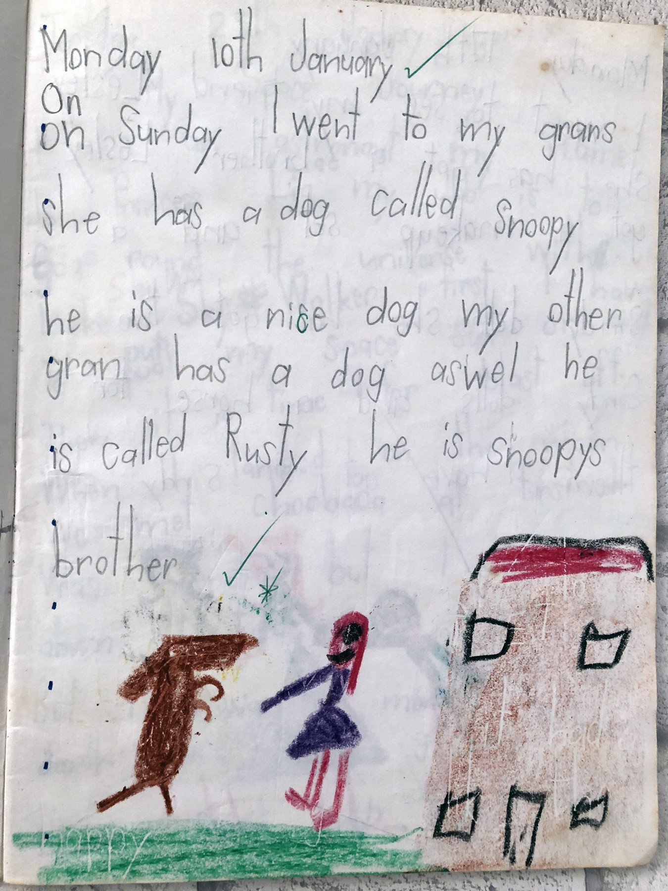 Child's diary entry