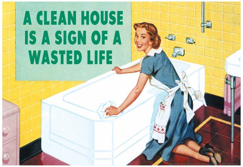 a clean house is a sign of a wasted life