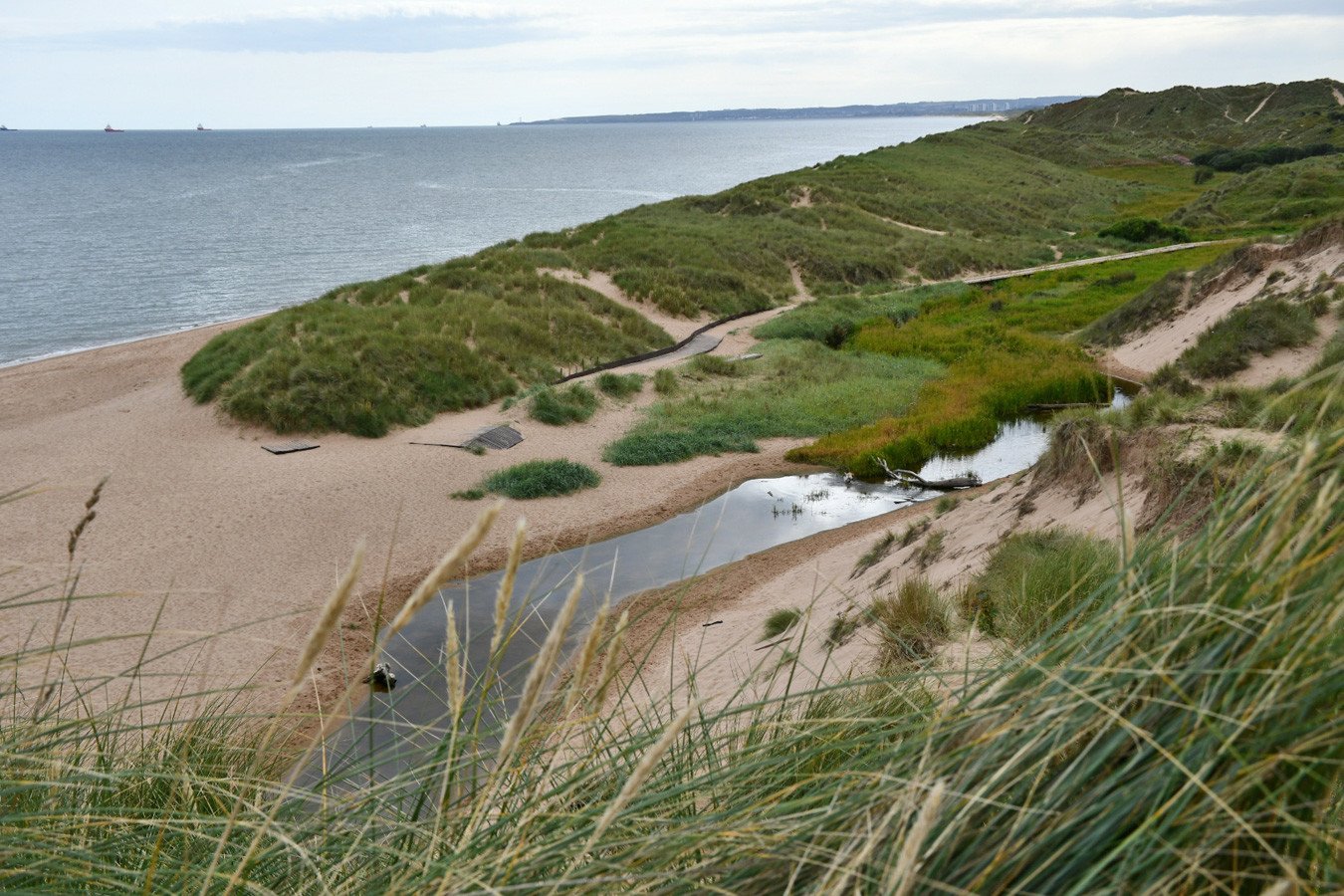 Balmedie Beach sand dunes, Aberdeenshire, Scotland