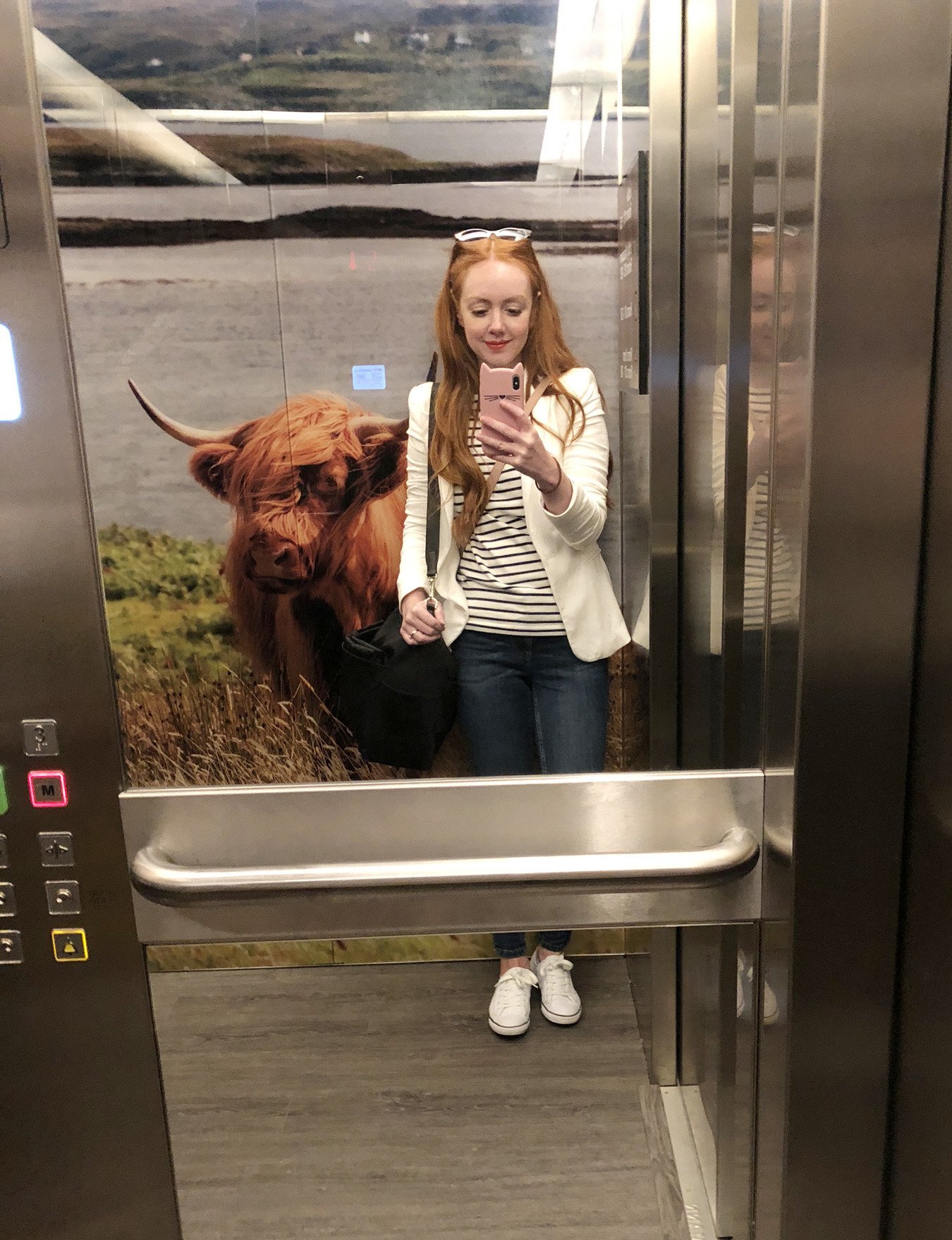 cow in the lift at The Sandman Signature hotel, Aberdeen, Scotland