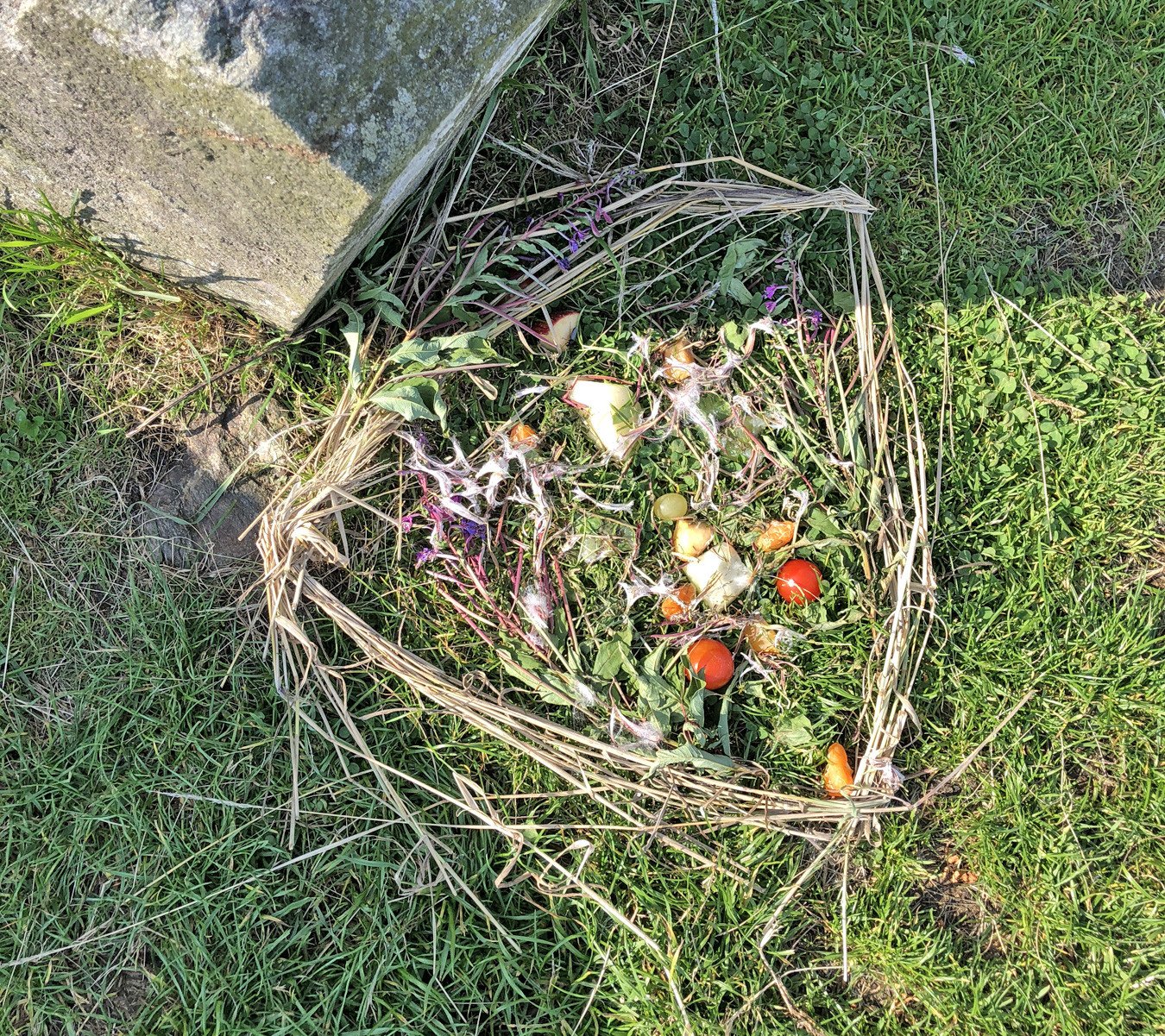 offering at the stone circle