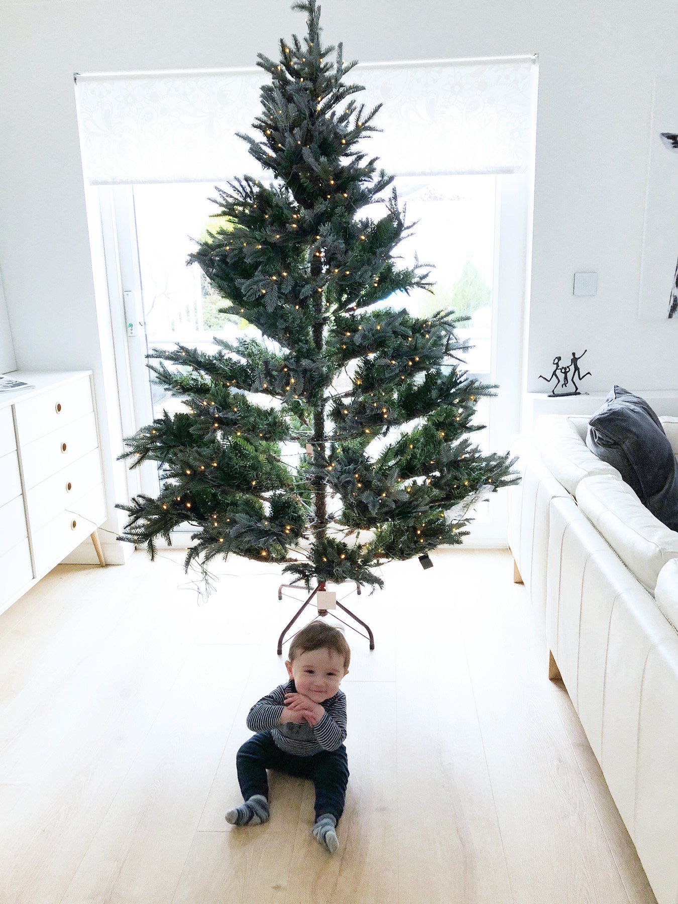 Cox & Cox blue mountain spruce Christmas tree