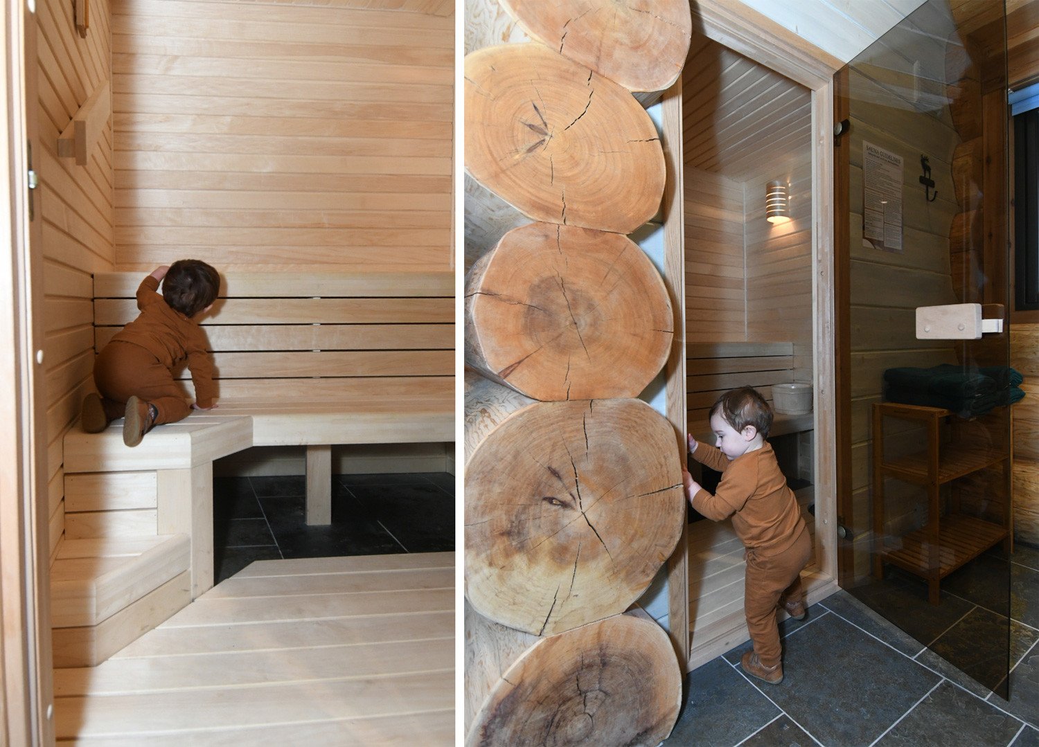 private sauna in Scottish log cabin