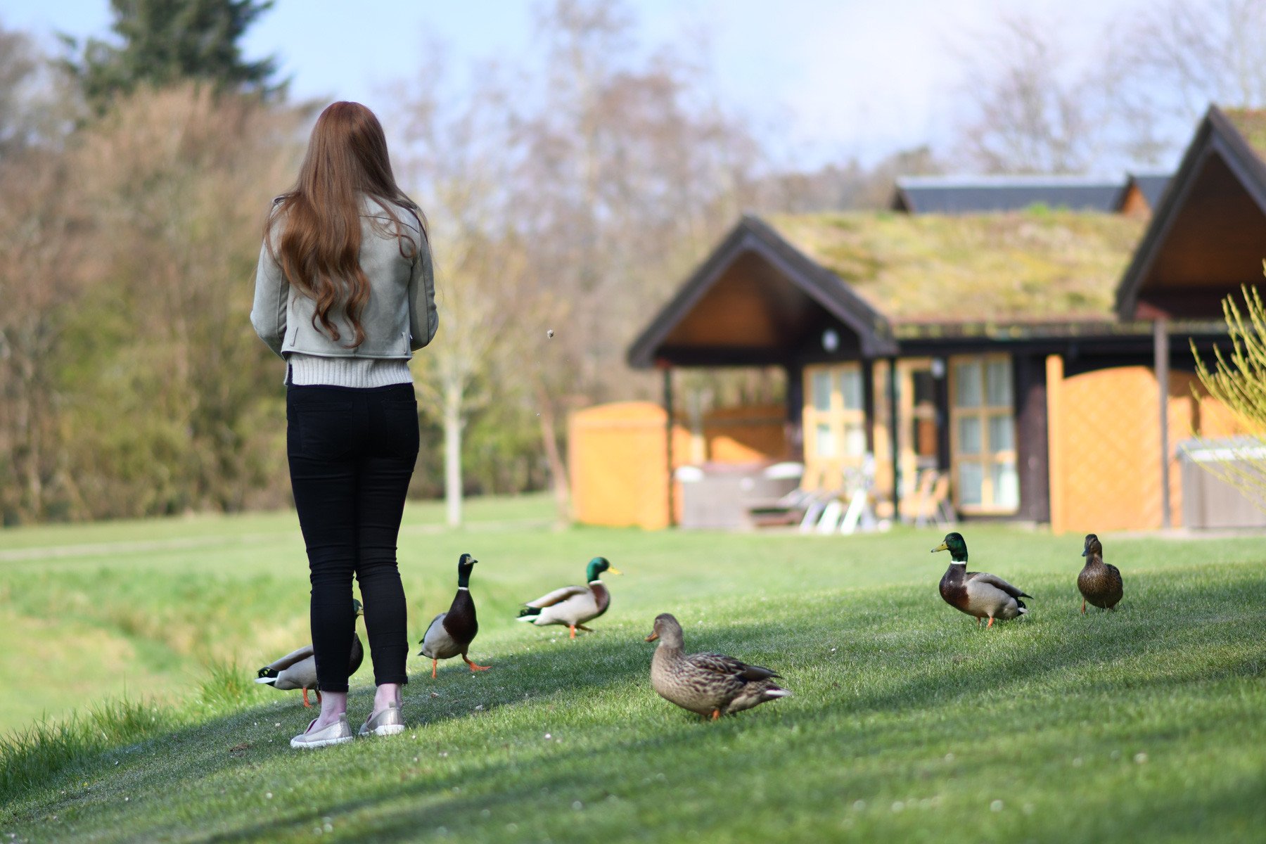 Feeding the ducks at Loch Lomond, Scotland