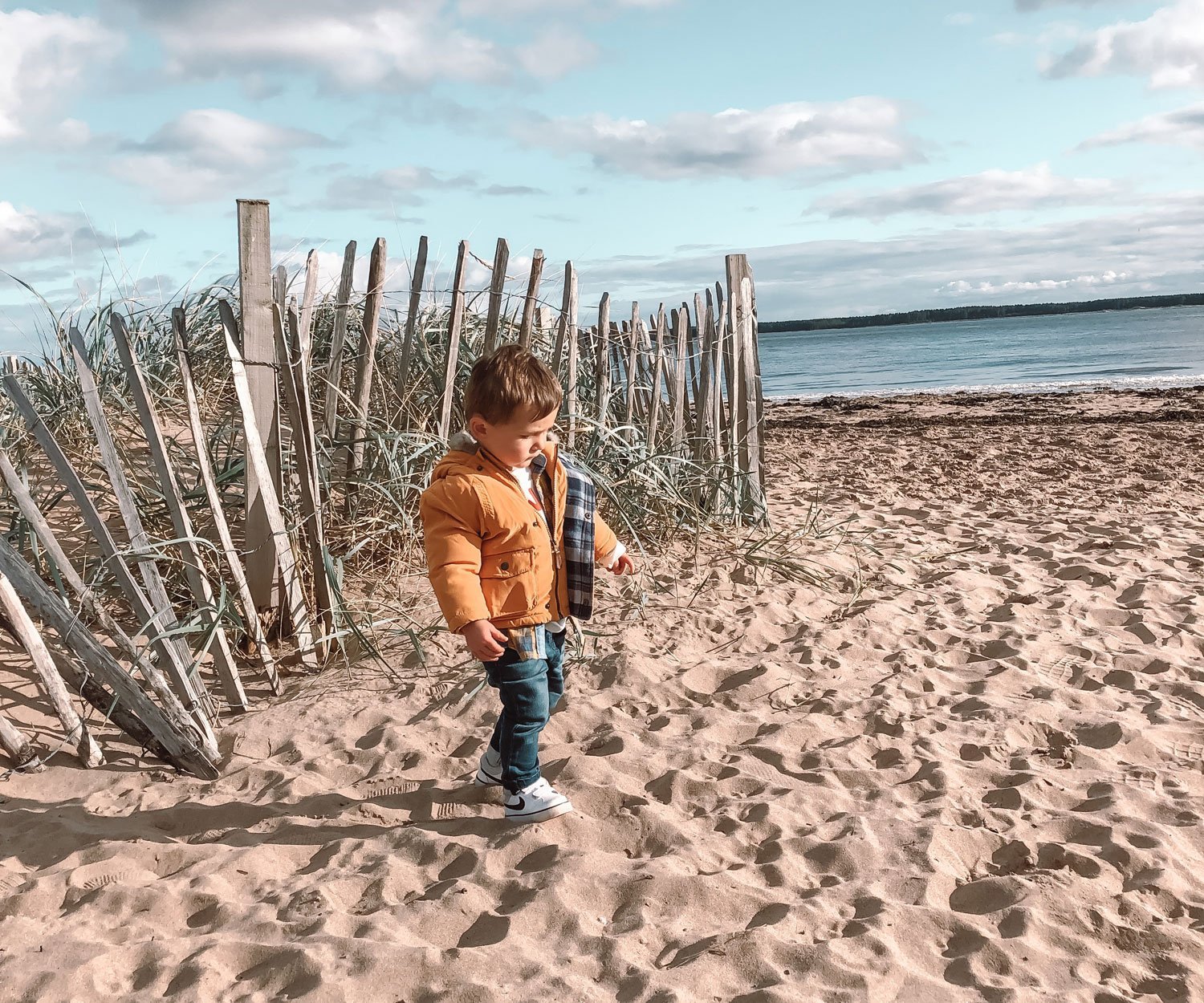 Max on the beach, October 2019