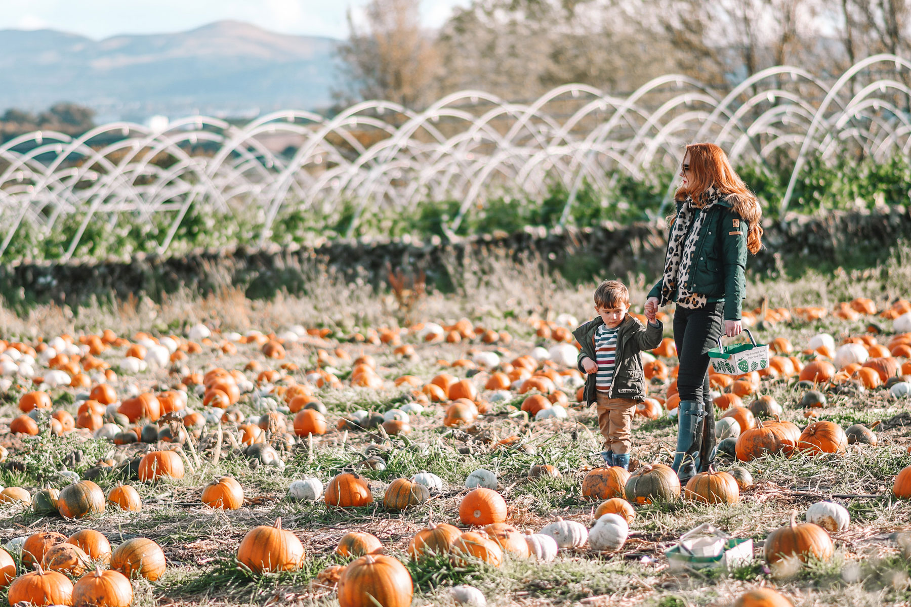 visiting the pumpkin patch