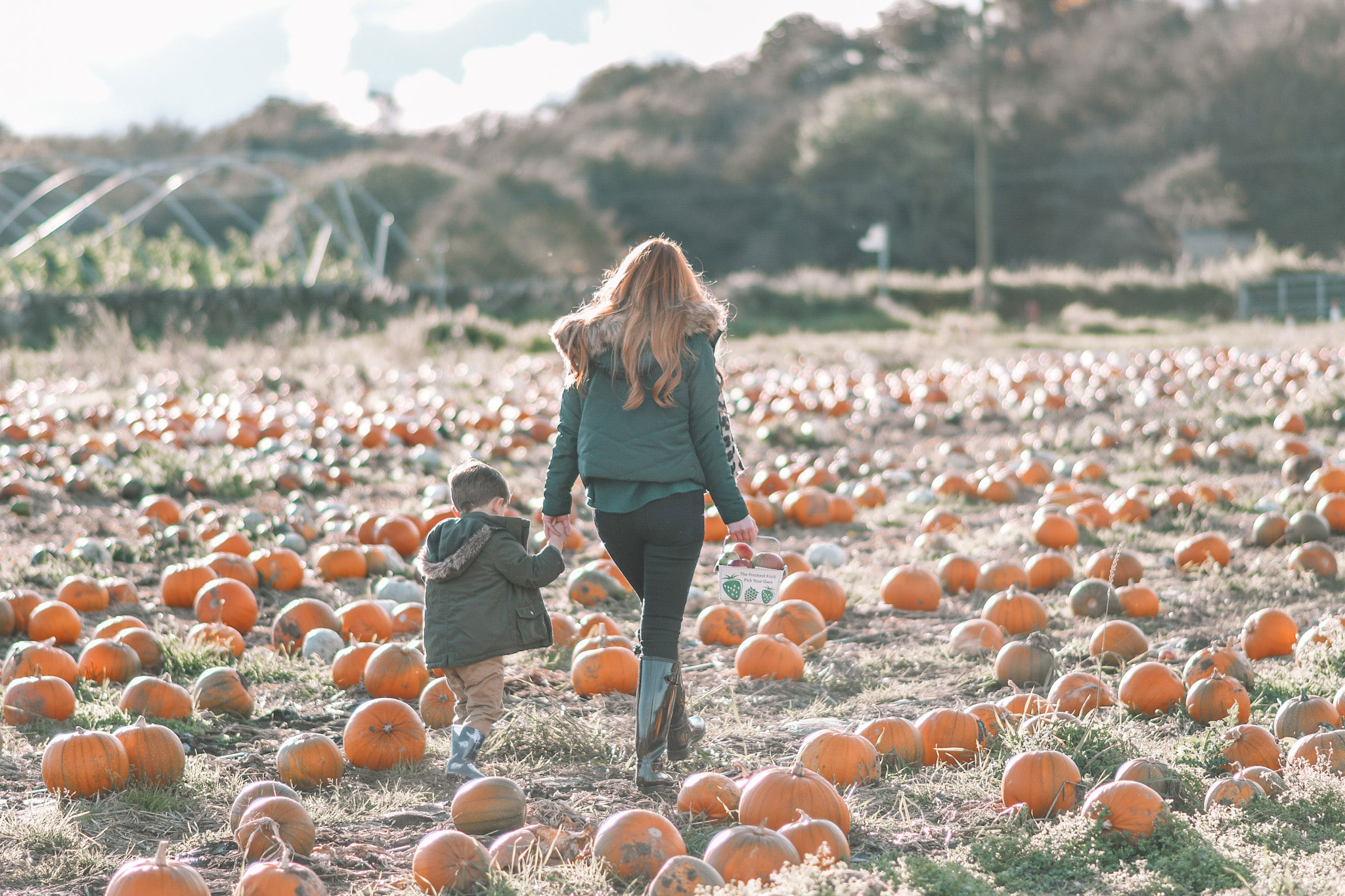 visiting the pumpkin patch with a toddler