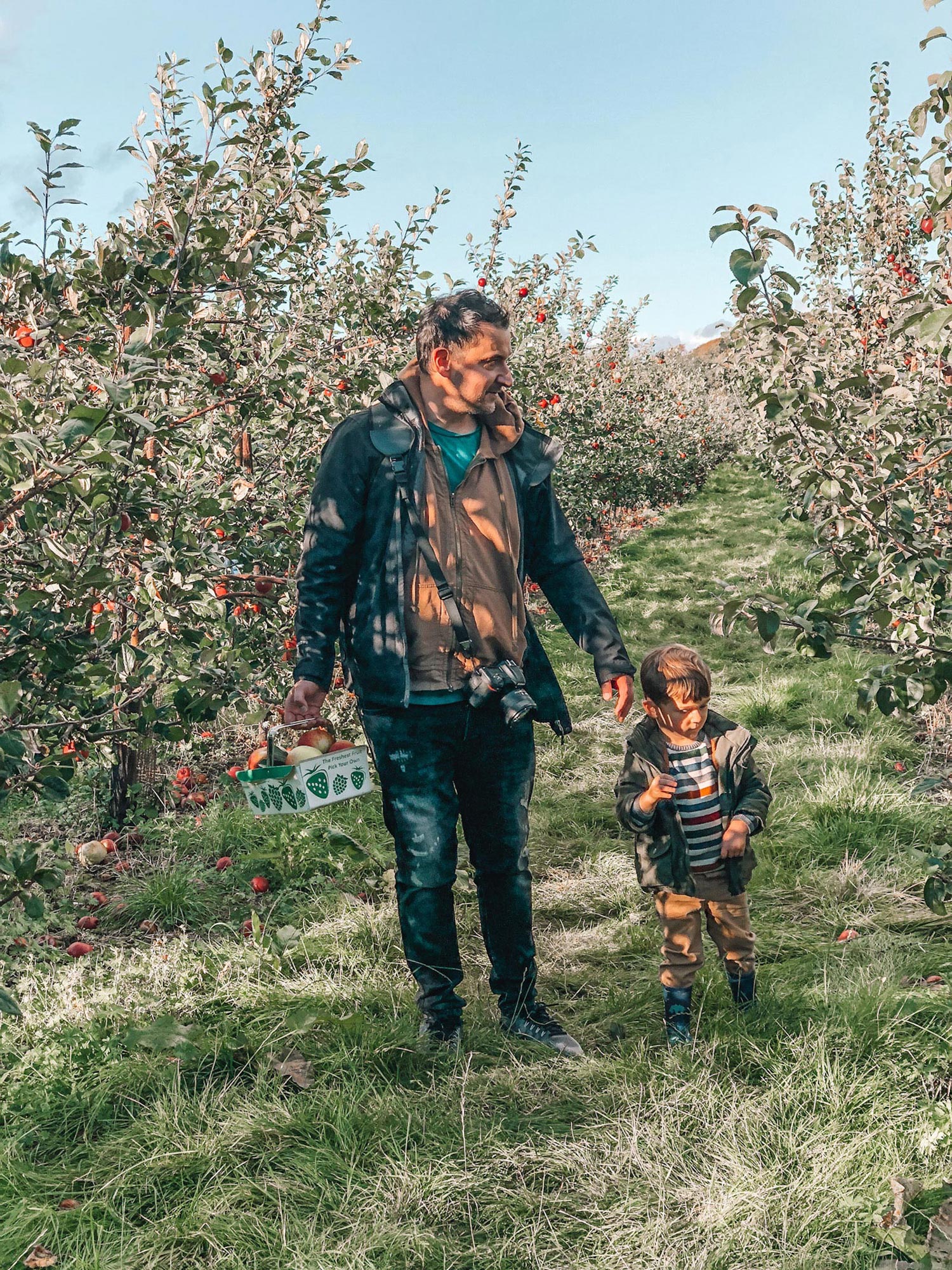 Max and daddy go apple picking