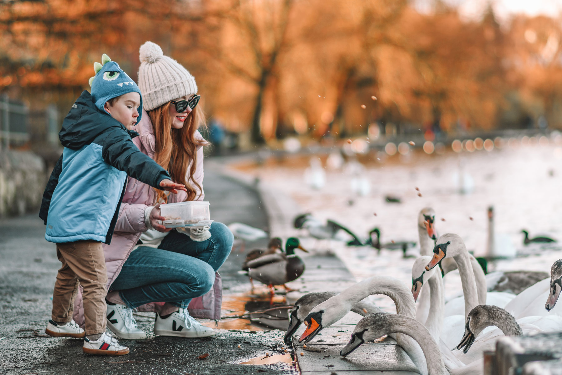 Amber and Max feeding the swans in winter
