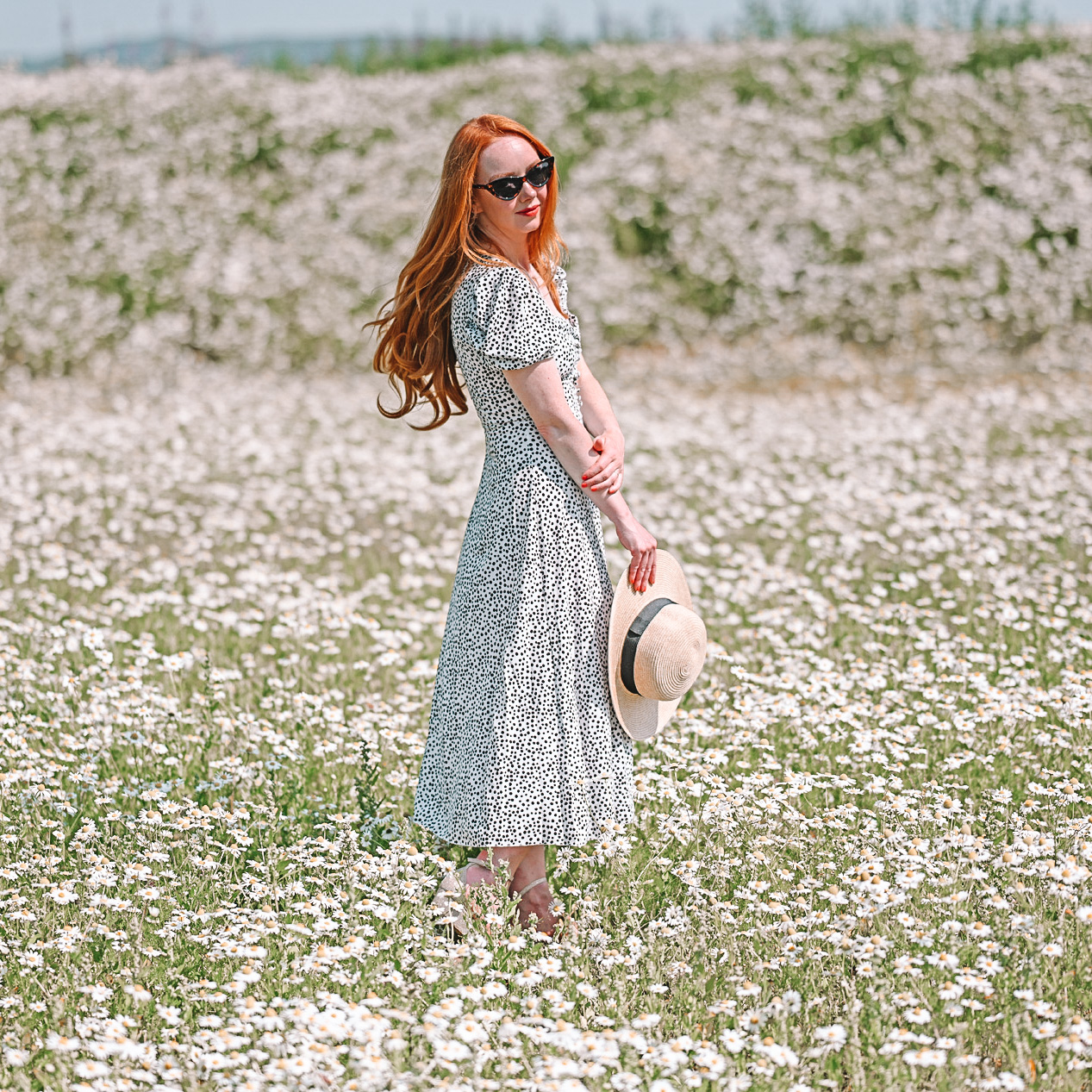 Amber standing in a field of Chamomile