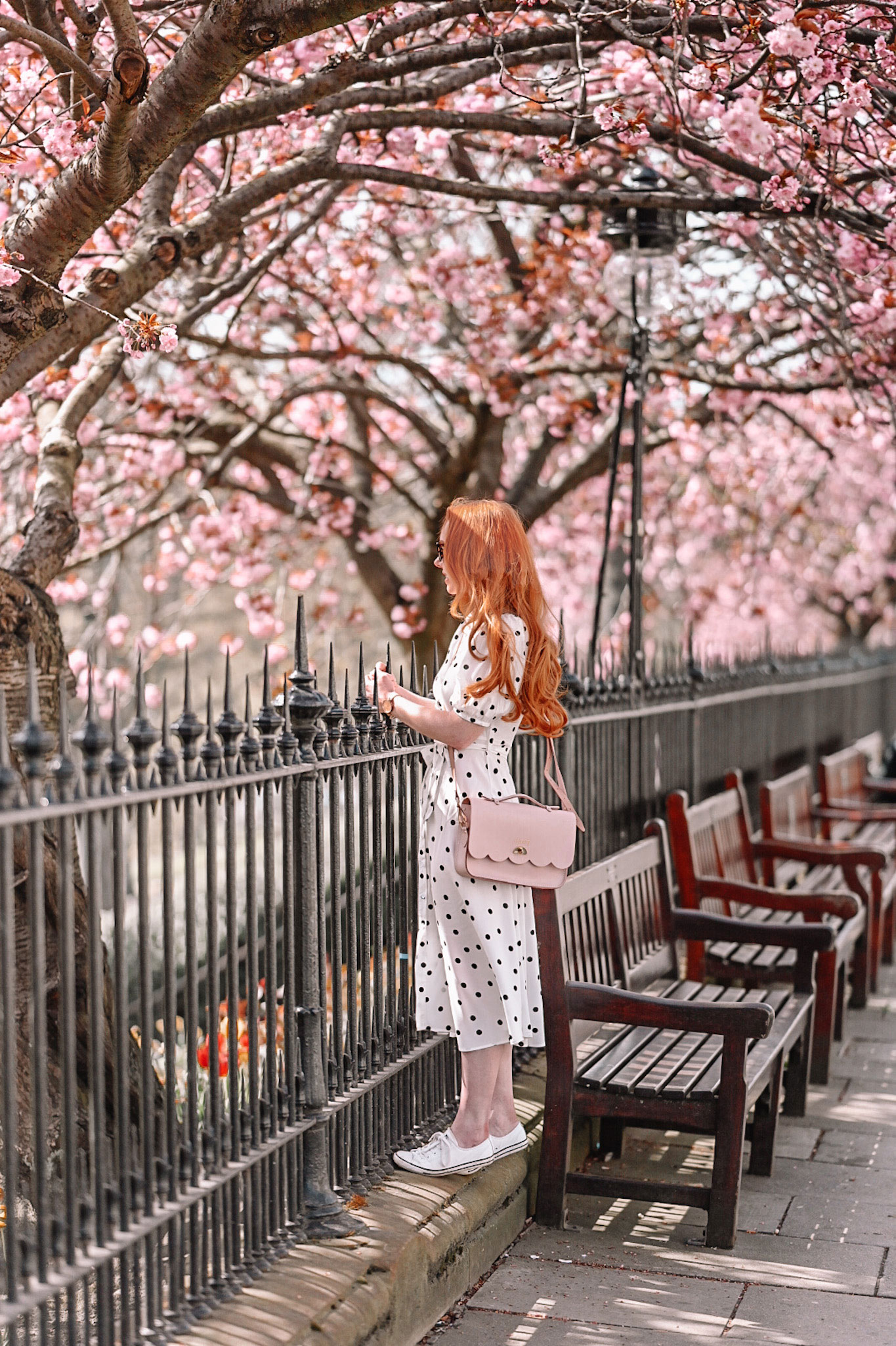 Amber standing underneath the cherry blossom trees on Princes Street in Edinburgh