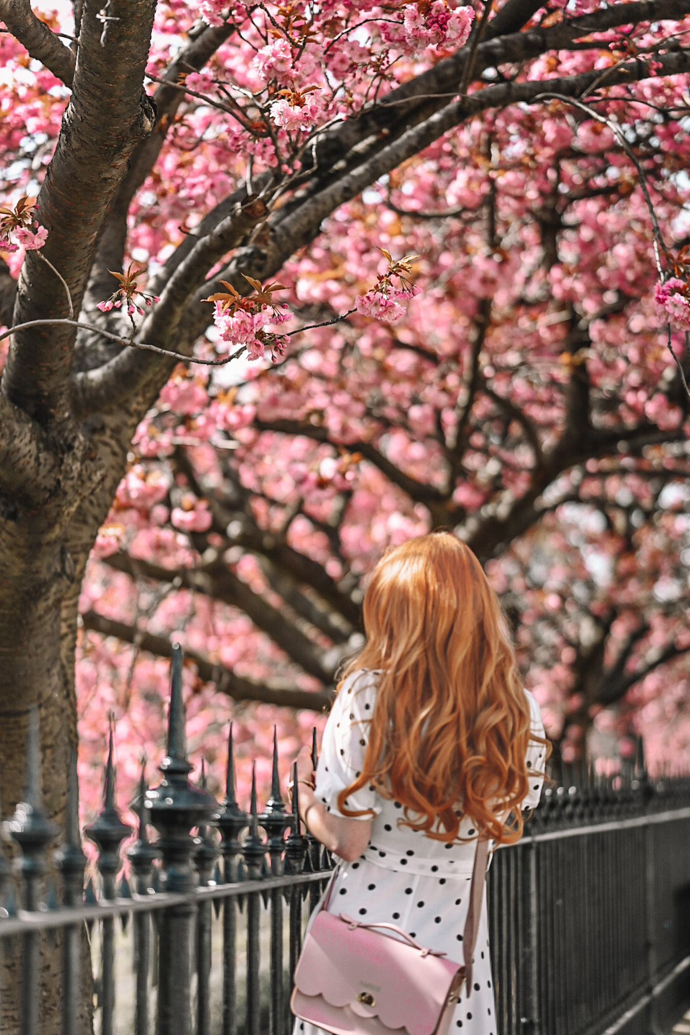 Amber standing underneath a canopy of cherry blossom in Edinburgh