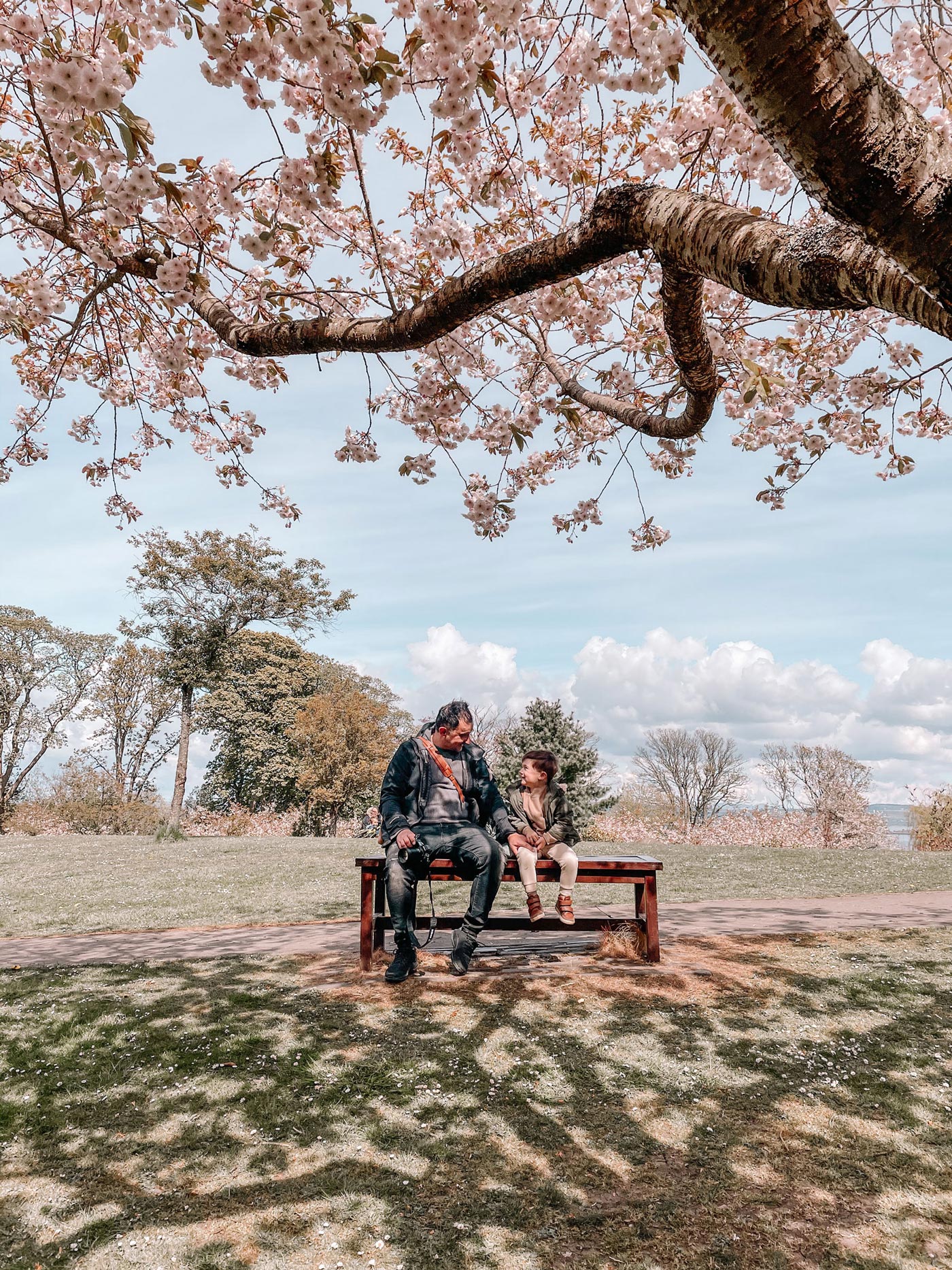 Max and Terry underneath a cherry blossom tree, May 2021