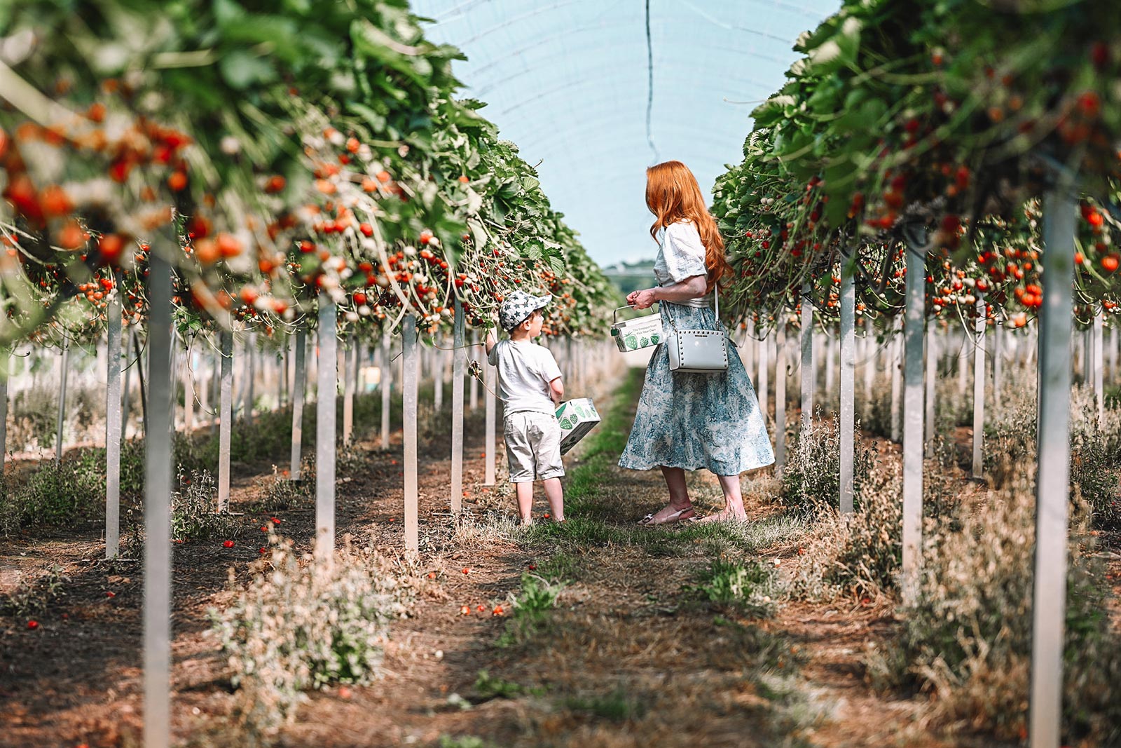 Amber and Max picking strawberries