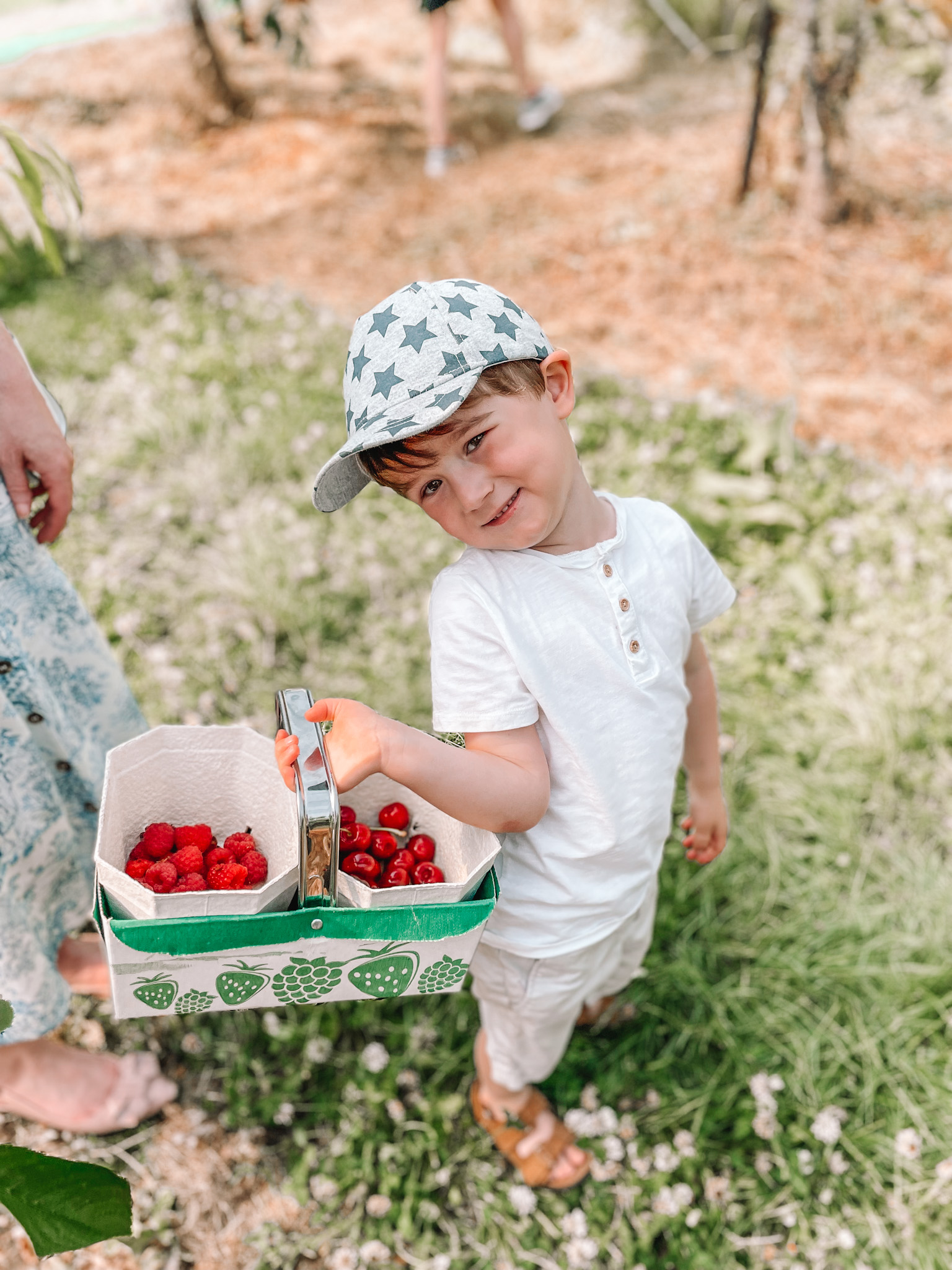 Max picking strawberries and raspberries on a sunny day