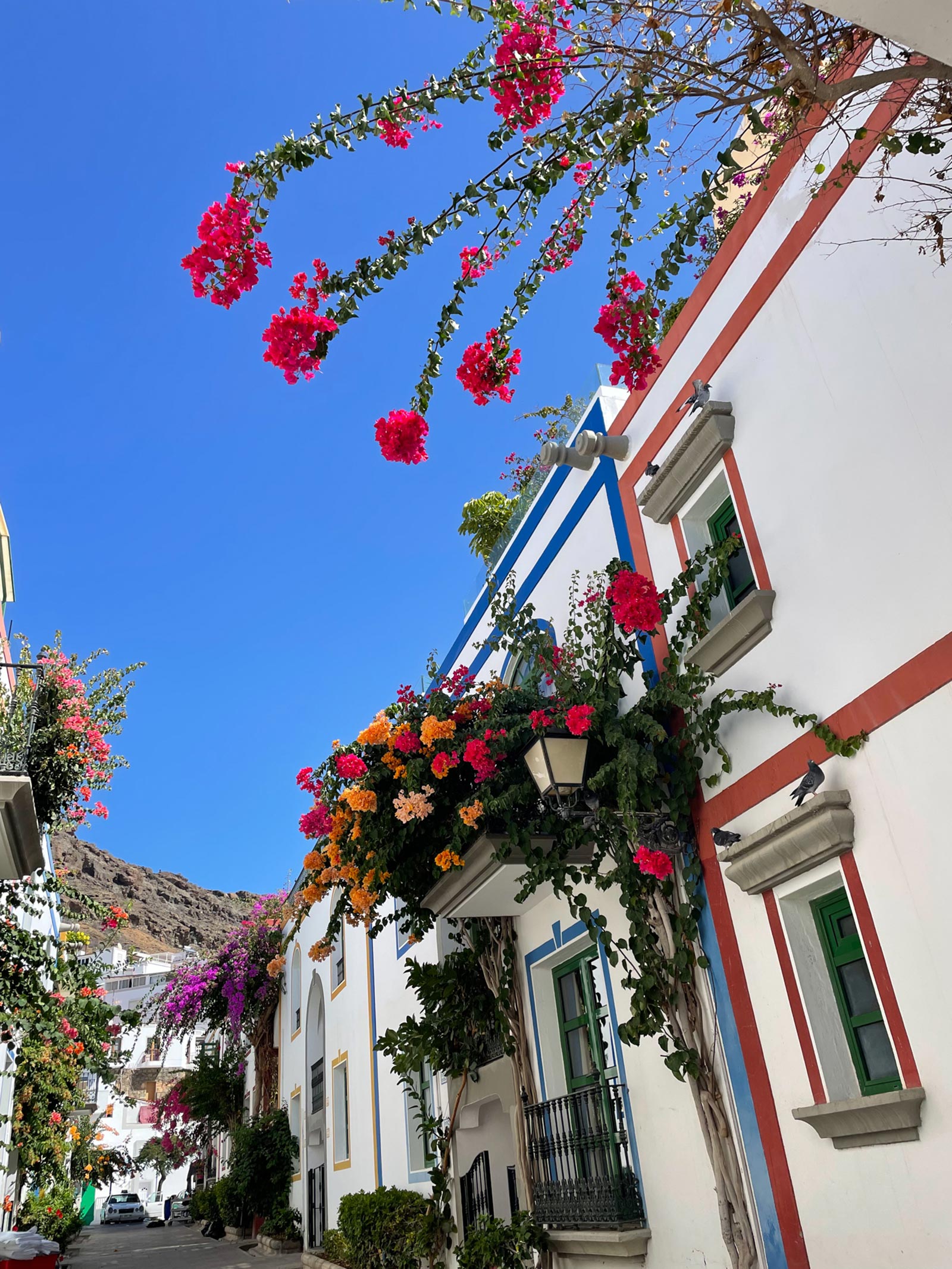 Puerto de Mogán, Gran Canaria