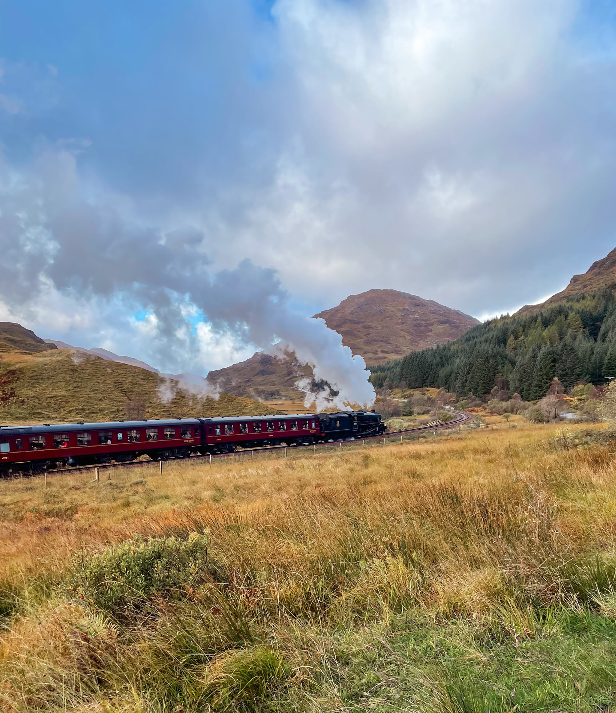The Harry Potter train / Jacobite steam train