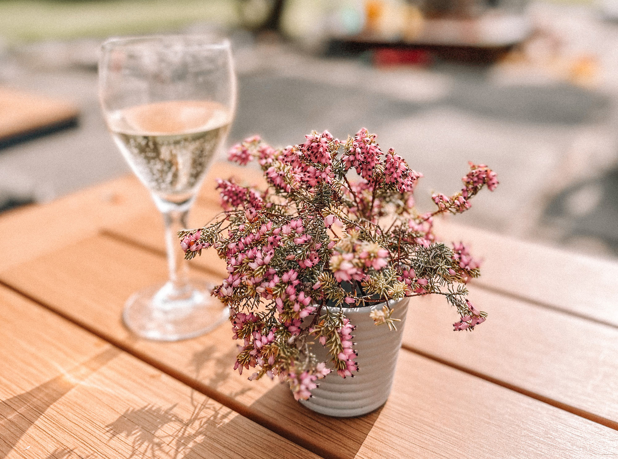 purple flowers and a glass of wine on a table in the sun