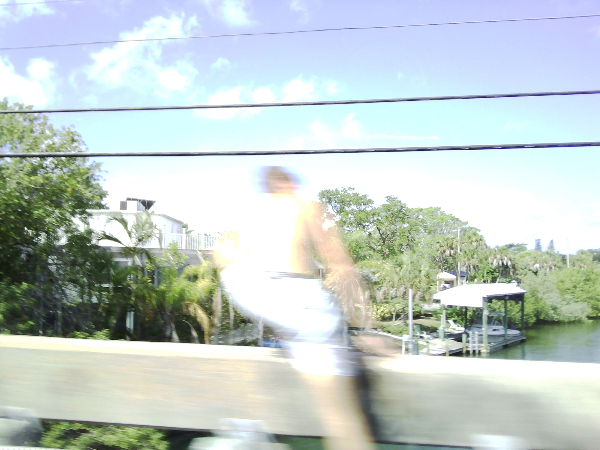 bridge in Sarasota