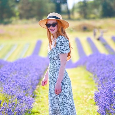 Where to see Lavender fields in Scotland