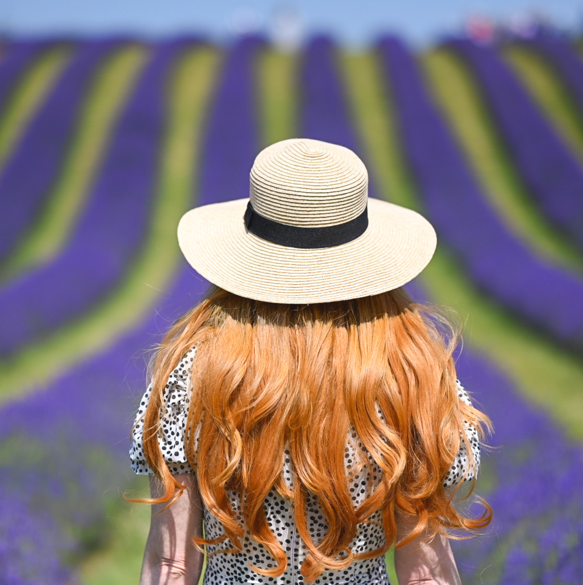 red hair in the sun