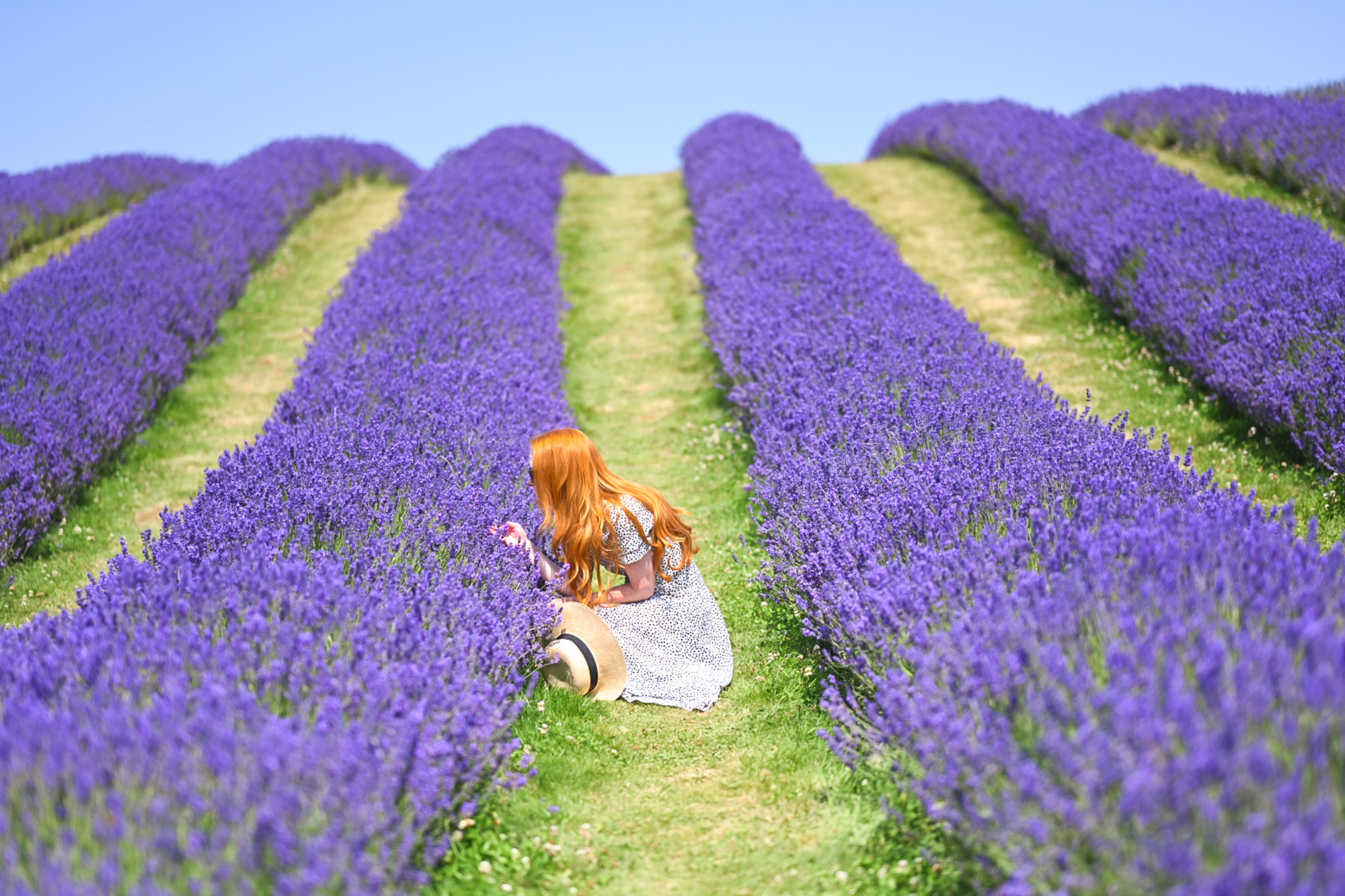 Visiting the lavender fields at Scottish Lavender oils