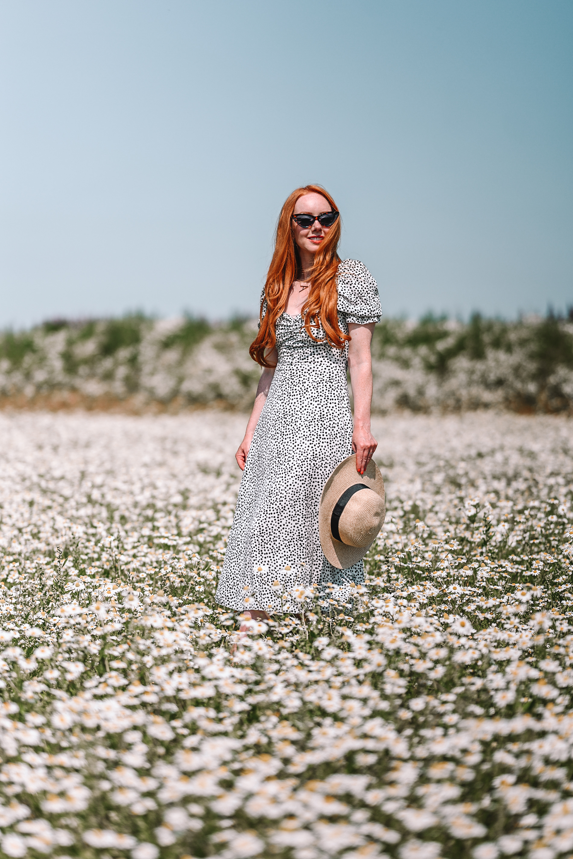 Chamomile lawn in Fife, Scotland