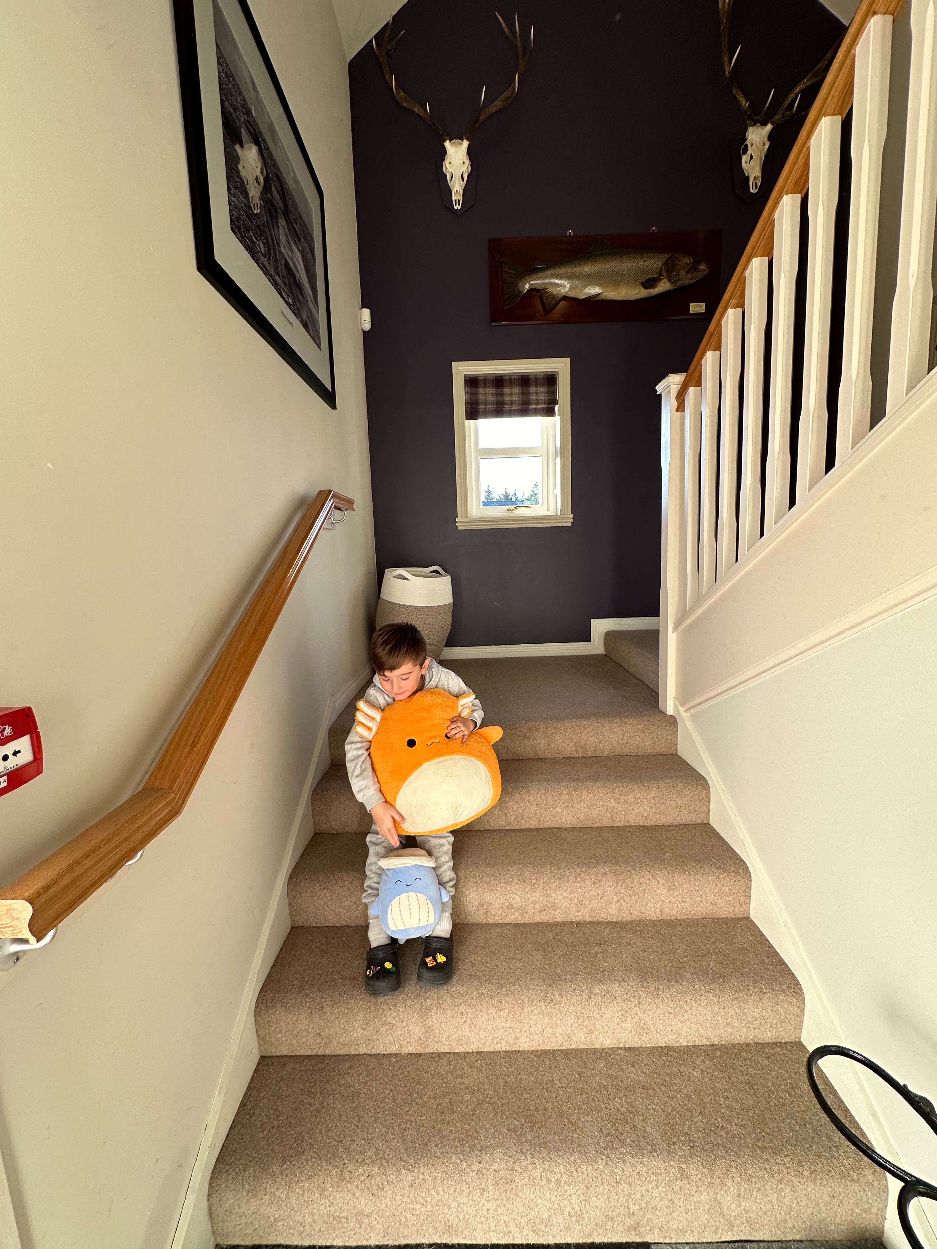 the stairs at Ulbster Lodge